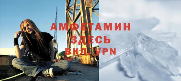 ГАЛЛЮЦИНОГЕННЫЕ ГРИБЫ Ладушкин