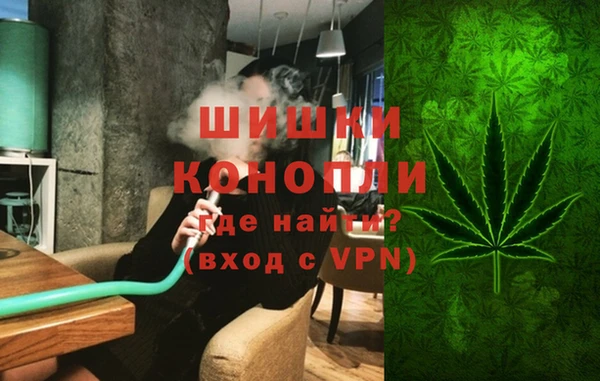 ГАЛЛЮЦИНОГЕННЫЕ ГРИБЫ Ладушкин