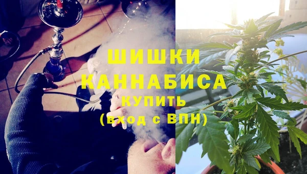 ГАЛЛЮЦИНОГЕННЫЕ ГРИБЫ Ладушкин
