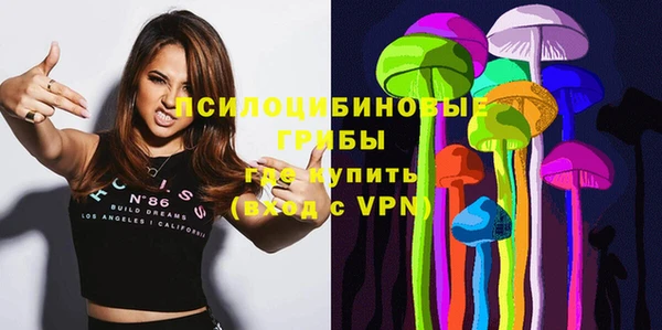 ГАЛЛЮЦИНОГЕННЫЕ ГРИБЫ Ладушкин