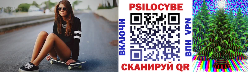 Галлюциногенные грибы Psilocybine cubensis  Купить где  Калачинск 