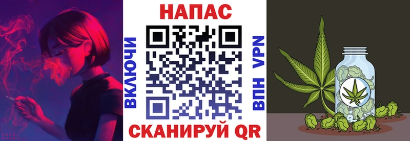 Каннабис сатива Калачинск